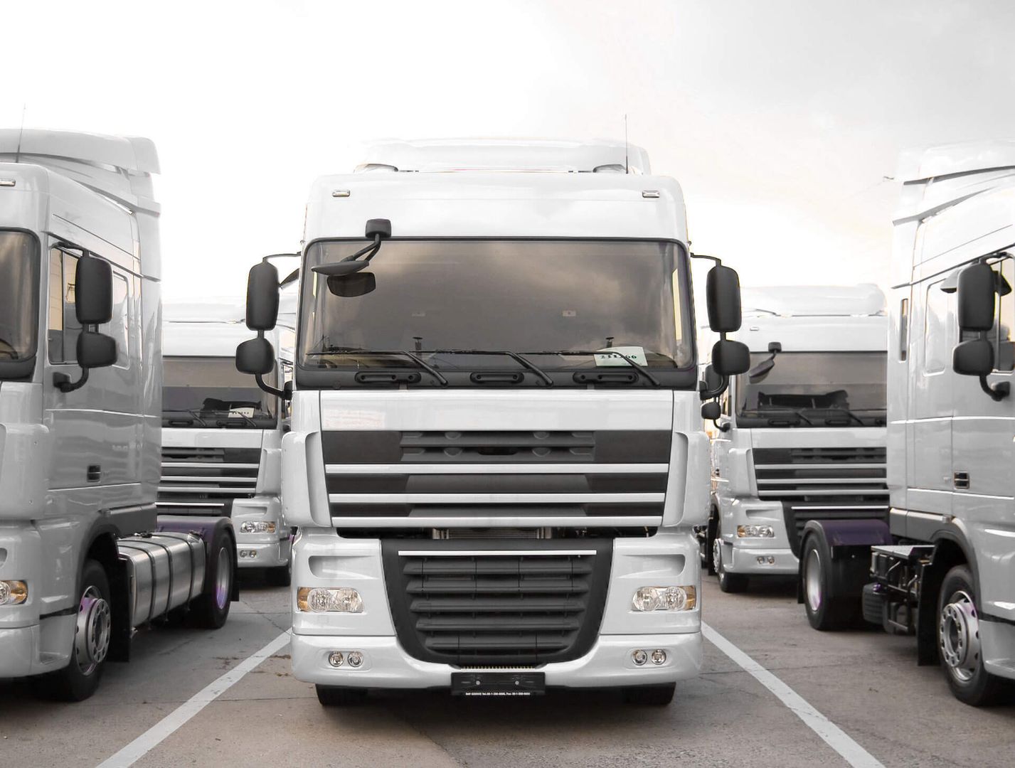 Mehrere LKWs auf einem Parkplatz